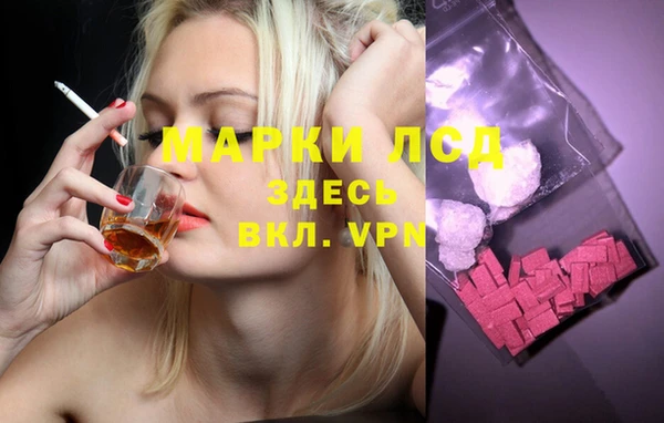 спайс Беломорск