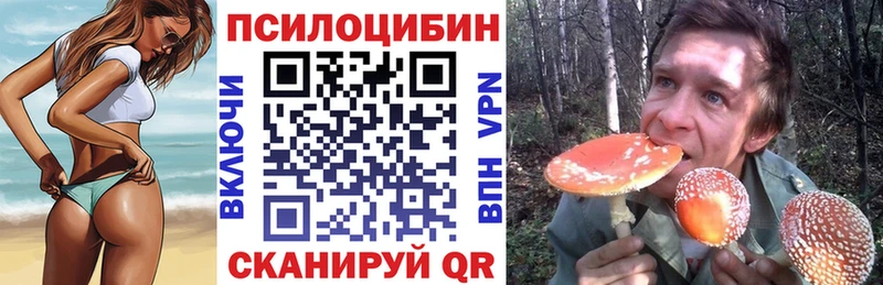 Галлюциногенные грибы мухоморы  Майкоп 